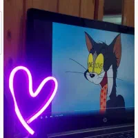 تابلو تبلیغاتی نئون|ریسه و چراغ تزئینی|آمل, |دیوار