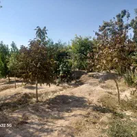 فروش باغ|فروش زمین و ملک کلنگی|گاریزات, |دیوار