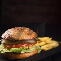 ساندویچ زن و فرکار آقا