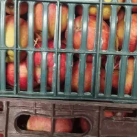 سیب درجه2قرمز و سفید