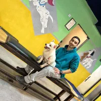 مربی سگ / آموزش سگ / تربیت سگ / پانسیون سگ