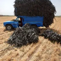 خرید و فروش نوار تیپ،تیف کشاورزی.کل استان مرکزی