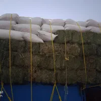 پرس یونجه ویونجه پودری|حیوانات مزرعه|سیرجان, |دیوار