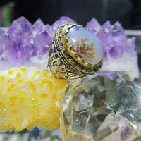 شجر|جواهرات|خرم‌آباد, |دیوار