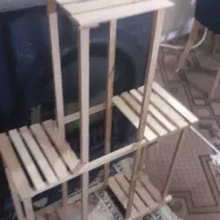 پایه گل جوبی خام|گل و گیاه طبیعی|گلبهار, شهر جدید گلبهار|دیوار