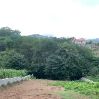 زمین مسکونی ۶۰۰ متر ،  پلاک یک جنگل
