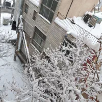 ۶۵ متری محدوده مصباح ، ساسانی  ، قلمستان|اجارهٔ آپارتمان|کرج, ساسانی (قلمستان)|دیوار