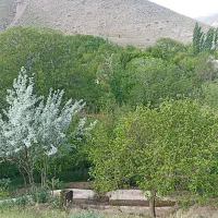 باغ ذغال اخته|فروش زمین و ملک کلنگی|تهران, شوش (باغ آذری)|دیوار