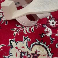 دمپایی گلبهی پاشنه بلند|کیف، کفش، کمربند|سرپل ذهاب, |دیوار