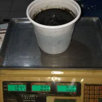 رب انار محلی|خوردنی و آشامیدنی|رشت, آتشگاه|دیوار