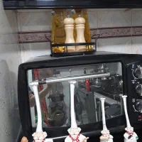 توستر