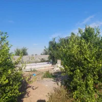 باغچه-800متری-9دی