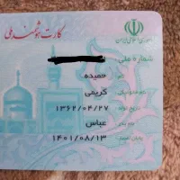 گمشده