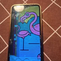 گوشی m20