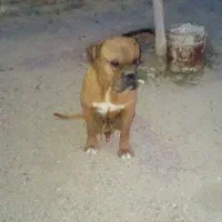 فروشی قیمت توافقی