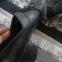 یک جفت کفش کفش اداری رسمی