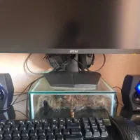 اسپیکر و موس پد