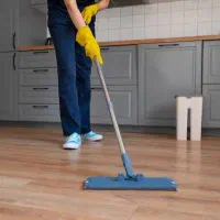 نیروی خدماتی منزل داوطلبانه