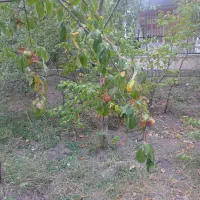 فروش خط تلفن ثابت