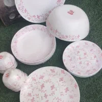 آرکوپال ۳۰ نفره دینو اکبند