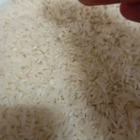 برنج محلی هاشمی دره رود|خوردنی و آشامیدنی|پارسآباد, |دیوار