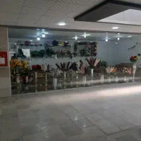 اجاره مغازه مشروطه پاساژ زینب پاشا