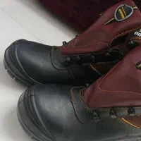 کفش کار پاتن