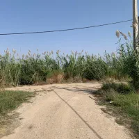 ۶ قطعه زمین مسکونی ۱۳۳ متری با دهنه ۶.۲۸ کنارهم|فروش زمین و ملک کلنگی|گالیکش, |دیوار