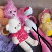 عروسک|اسباب‌بازی بچه|سهند, |دیوار