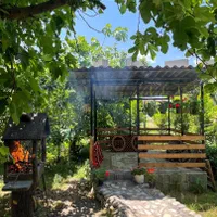 اجاره سوئیت آلاچیق دار درجاده جنگل دالخانی