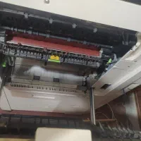 چاپگر رنگی لیزری MX-3100N شارپ|پرینتر، اسکنر، کپی، فکس|گنبد کاووس, |دیوار