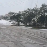 فروش یا معاوضه سیم کارت رند ۰۹۱۱۱۱۳۲۷۸۹