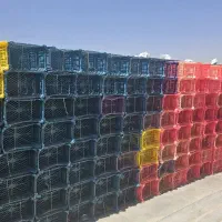 سبد پلاستیکی ۴ کیلویی|عمدهفروشی|شیراز, کوشک میدان|دیوار