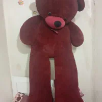 شاسخین بزرگ مخصوص ولنتاین