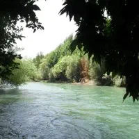 نیازمند چاه کن در حاشیه رودخانه زاینده رود