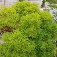 دو خوابه مسکن مهرگان|فروش آپارتمان|مرودشت, مسکن مهرگان|دیوار
