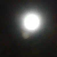 لامپ فروشی 84ملی