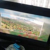 تلوزیون سامسونگ، مبل ۷ نفره راحتی، گاز و دکوری جات