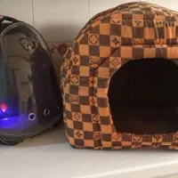 پامرین|سگ|پاکدشت, پاکدشت (مامازند)|دیوار