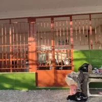 نقاشی و نقاش ساختمان|خدمات پیشه و مهارت|اصفهان, قائمیه|دیوار