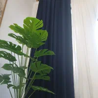 دستگ پرده