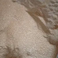 گندم و لوبیا|خوردنی و آشامیدنی|اهواز, اسماعیلیه|دیوار