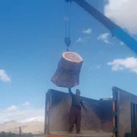 خرید و فروش چوب با بهترین قیمت|خدمات باغبانی و درختکاری|سنقر, |دیوار