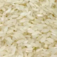 برنج وخرده برنج کامفیروزی