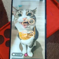 شیامی ردمی ۱۳