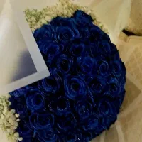 شب چله|گل مصنوعی|قم, نیروگاه|دیوار