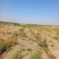 زمین ۷۵۰ متر بر خیابان آسفالت لنگرود|فروش زمین و ملک کلنگی|قم, مجیدیه|دیوار