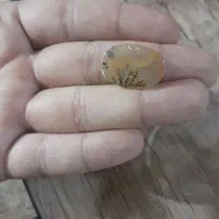 سنگ های شجرو املتیس معاوضه طوطی|کلکسیون اشیاء عتیقه|کرج, خرمدشت|دیوار