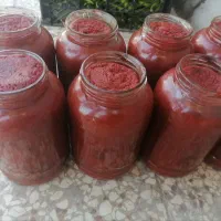 شوری و رب گوجه شاندیز|خوردنی و آشامیدنی|مشهد, فلسطین|دیوار