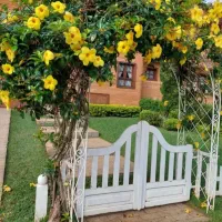 نظافت منزل ماهیانه 10میلیون تومان